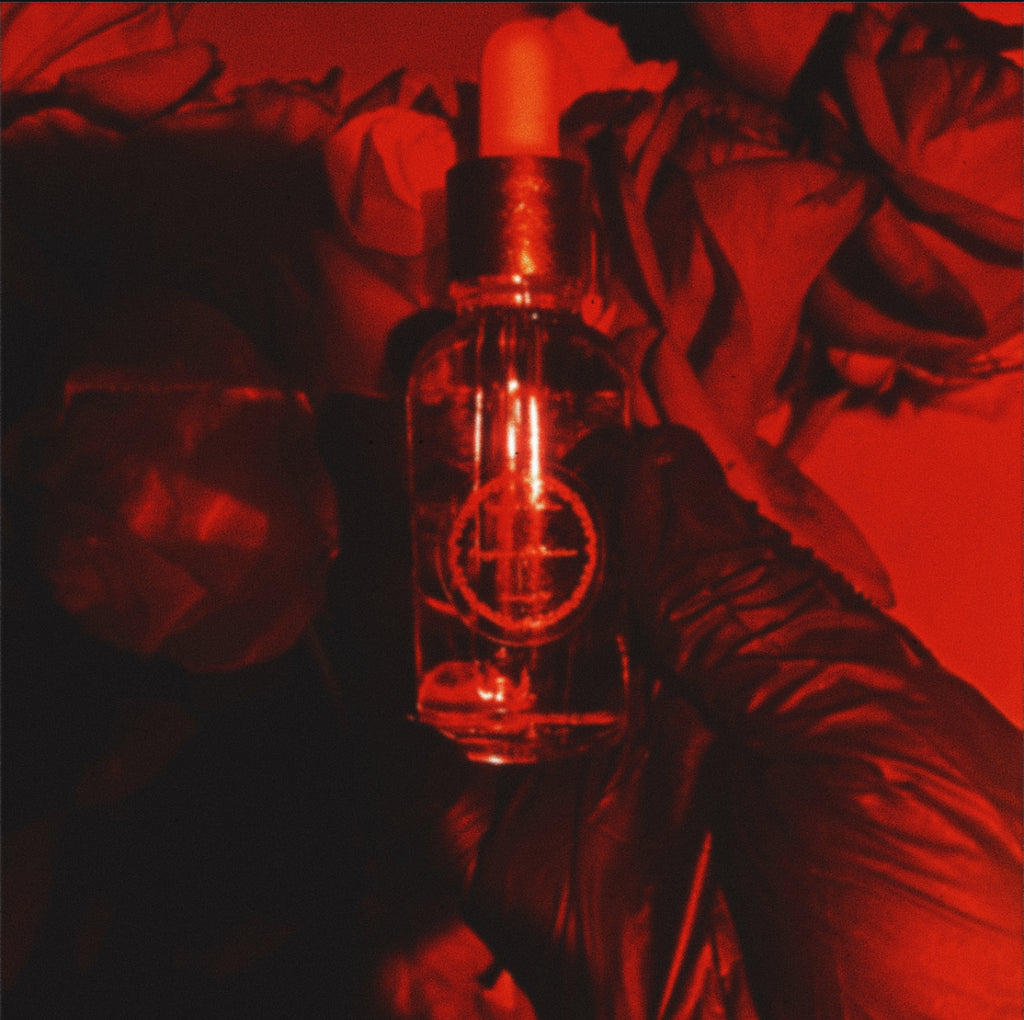 Ahora, Mañana, Por Siempre... Fragrance Oil - A Fan Favorite